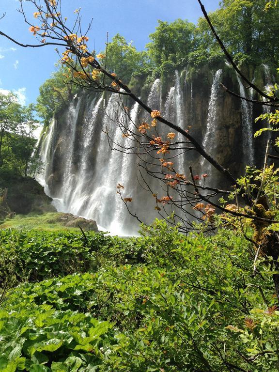 Plitvice Lakes Irene